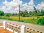 Land for Sale in Dambadeniya,t01