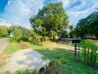 Land for sale in Dambulla 8 Perch