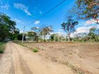 Land for Sale in Dambulla - 80 Perch