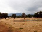 Land for Sale in Dambulla Close to Town