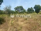 Land for Sale in Dambulla - දඹුල්ල