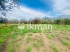 Land For Sale in Dambulla - දඹුල්ල නගරයෙන් ඉඩමක් විකිණීමට