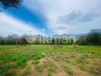 Land For Sale in Dambulla - දඹුල්ල නගරයෙන් ඉඩමක් විකිණීමට