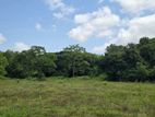 Land for sale in Dambulla - දඹුල්ලේන් අක්කර 7 ක අනර්ඝ ඉඩමක් විකිණීමට