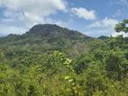 Land for sale in Dambulla - දඹුල්ලේන් ඉඩමක් විකිණීමට
