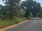 Land for Sale in Dambulla - දඹුල්ලේන් ඉඩමක් විකිණීමට