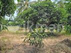 Land for sale in dambulla - දඹුල්ලෙන් අක්කර 2 ක අනර්ඝ ඉඩමක් විකිණීමට