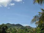 Land for sale in dambulla - දඹුල්ලෙන් අක්කර 2 ක අනර්ඝ ඉඩමක් විකිණීමට