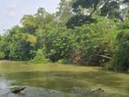 Land for Sale in Dambulla - දඹුල්ලෙන් අනර්ග ඉඩමක් විකිණීමට