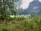 Land For Sale in Dambulla - āļ¯āļšāˇāļŊāˇāļŊāˇāļąāˇ āļāļŠāļ¸āļ⎠āˇāˇāļāˇāļĢāˇāļ¸āļ§
