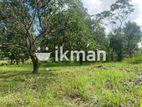 Land For Sale in Dambulla - āļ¯āļšāˇāļŊāˇāļŊāˇāļąāˇ āļāļŠāļ¸āļ⎠āˇāˇāļāˇāļĢāˇāļ¸āļ§