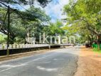 Land For Sale in Dambulla - දඹුල්ලෙන් ඉඩමක් විකිණීමට