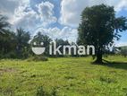 Land For Sale in Dambulla - දඹුල්ලෙන් ඉඩමක් විකිණීමට