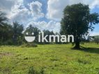 Land For Sale in Dambulla - දඹුල්ලෙන් ඉඩමක් විකිණීමට