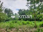 Land For Sale in Dambulla - දඹුල්ලෙන් ඉඩමක් විකිණීමට