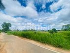 Land For Sale in Dambulla - දඹුල්ලෙන් ඉඩමක් විකිණීමට