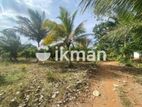 Land For Sale in Dambulla - දඹුල්ලෙන් ඉඩමක් විකිණීමට