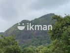Land For Sale in Dambulla - දඹුල්ලෙන් ඉඩමක් විකිණීමට