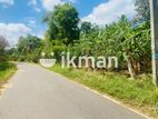 Land For Sale in Dambulla - දඹුල්ලෙන් ඉඩමක් විකිණීමට