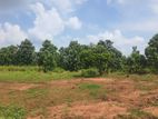 Land For Sale in Dambulla - දඹුල්ලෙන් ඉඩමක් විකිණීමට