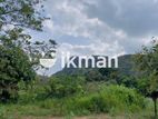 Land For Sale in Dambulla - දඹුල්ලෙන් ඉඩමක් විකිණීමට