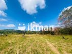 Land For Sale in Dambulla - දඹුල්ලෙන් ඉඩමක් විකිණීමට