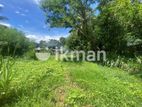 Land For Sale in Dambulla - දඹුල්ලෙන් ඉඩමක් විකිණීමට