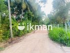 Land For Sale in Dambulla - දඹුල්ලෙන් ඉඩමක් විකිණීමට