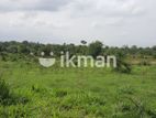 Land For Sale in Dambulla - දඹුල්ලෙන් ඉඩමක් විකිණීමට