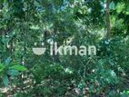 Land For Sale in Dambulla - දඹුල්ලෙන් ඉඩමක් විකිණීමට