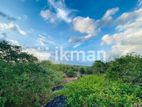 Land For Sale in Dambulla - දඹුල්ලෙන් ඉඩමක් විකිණීමට