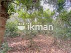 Land For Sale in Dambulla - දඹුල්ලෙන් ඉඩමක් විකිණීමට