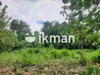 Land For Sale in Dambulla - දඹුල්ලෙන් ඉඩමක් විකිණීමට