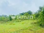 Land For Sale in Dambulla - දඹුල්ලෙන් ඉඩමක් විකිණීමට