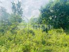 Land For Sale in Dambulla - දඹුල්ලෙන් ඉඩමක් විකිණීමට