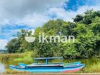 Land For Sale in Dambulla - දඹුල්ලෙන් ඉඩමක් විකිණීමට