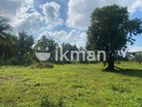 Land For Sale in Dambulla - දඹුල්ලෙන් ඉඩමක් විකිණීමට