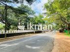 Land For Sale in Dambulla - දඹුල්ලෙන් ඉඩමක් විකිණීමට