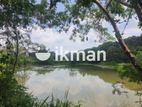 Land For Sale in Dambulla - දඹුල්ලෙන් ඉඩමක් විකිණීමට
