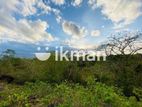Land For Sale in Dambulla - දඹුල්ලෙන් ඉඩමක් විකිණීමට