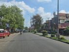 Land For Sale in Dambulla - දඹුල්ලෙන් ඉඩමක් විකිණීමට