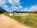 Land For Sale in Dambulla - දඹුල්ලෙන් ඉඩමක් විකිණීමට