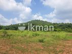 Land For Sale in Dambulla - දඹුල්ලෙන් ඉඩමක් විකිණීමට