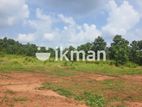 Land For Sale in Dambulla - දඹුල්ලෙන් ඉඩමක් විකිණීමට
