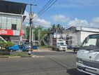 Land For Sale in Dambulla - දඹුල්ලෙන් ඉඩමක් විකිණීමට