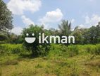 Land For Sale in Dambulla - දඹුල්ලෙන් ඉඩමක් විකිණීමට