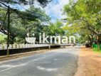 Land For Sale in Dambulla - දඹුල්ලෙන් ඉඩමක් විකිණීමට