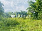 Land For Sale in Dambulla - දඹුල්ලෙන් ඉඩමක් විකිණීමට