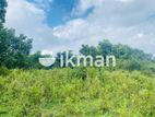Land For Sale in Dambulla - දඹුල්ලෙන් ඉඩමක් විකිණීමට