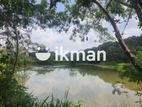 Land For Sale in Dambulla - දඹුල්ලෙන් ඉඩමක් විකිණීමට